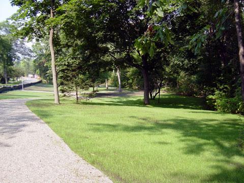 Birmingham, Michigan - Turf Establisment - 2 Weeks Later with Water Application